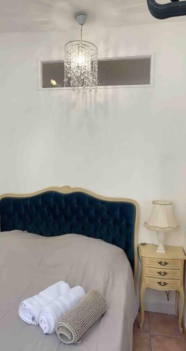 Magnifique Appartement Plein Coeur Avignon Intra-Muros Bagian luar foto